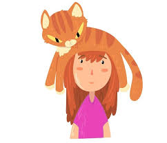 Animasi, bergerak, orang, auto, design, tech name. Organ Gerak Kucing Dan Fungsinya Brainly Co Id