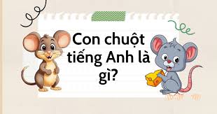 Con chuột tiếng Anh là gì? Phân biệt "mouse" với "Rat"