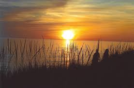 Select bill & stella's by the lake michigan shore muskegon, mi no pets. Woods On The Lake Cottages In Muskegon Michigan