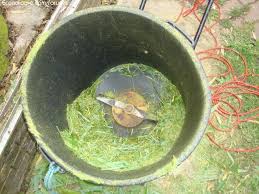 Fabriquer Un Broyeur A Vegetaux Pour 0 Potager Hors Sol Idees Jardin Bricolage Jardin