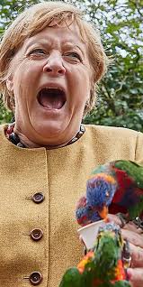 Ein Papagei biss zu: Angela Merkel