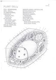 Maybe you would like to learn more about one of these? Plant Cells Quiz By Juliamusgrove