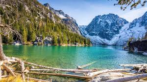 The stems are not jointed or hollow, leaves large and pinnately dissected, nonflowering. Beautiful Washington Episode 1 Scenic Nature Documentary Film About Washington State Youtube