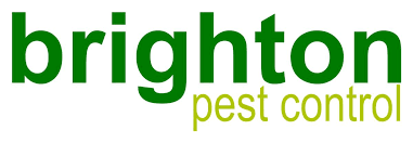 We can offer an environmentally friendly pest control service in brighton. Brighton Pest Control Hove 47 Farm Road