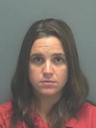 Lee County Arrests 11/24