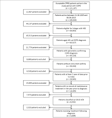Patient Selection Flow Chart Copd Chronic Obstructive