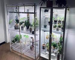 Ikea Greenhouse Cabinet Guide Jolovesplants In 2021 Home Greenhouse Indoor Greenhouse Ikea Indoor Garden