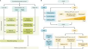 This guideline covers the diagnosis and management of prostate cancer in secondary care, including information on the best way to diagnose and identify different stages of the disease, and how to manage adverse effects of treatment. Prostate Cancer Nature Reviews Disease Primers