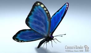Free 3d Butterfly Figure For Daz Studio And Poser 3d Butterflies Butterfly Animals