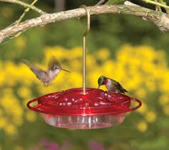 Maybe you would like to learn more about one of these? Hummingbird Feeders The Backyard Naturalist