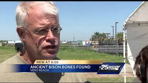 Big reveal at Old Vero Man site may resemble crime scene
