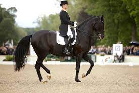 The queen of dressage won the fei dressage world cup™ in we met the german dressage rider in amsterdam and talked with her about weihegold old, who took a. Isabell Werth Startet Als Weltranglisten Erste In Die Saison