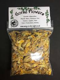 We did not find results for: Gorse Dried Flowers Protection Money Pagan Wicca Witchcraft Supplies Shop