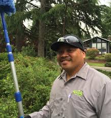 Pointe pest control is an independent pest control company in the pacific northwest. Pest Control Reviews