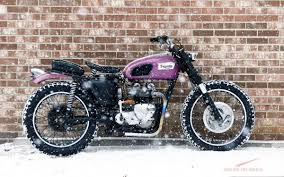 Image result for Honeysuckle 1972 Triumph