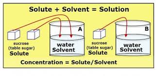 A Solution Is A Homogeneous Mixture Meaning It Is The Same Throughout A Solution Can Be Made Of More Than Two Substa Solutions Science Chemistry Water Table
