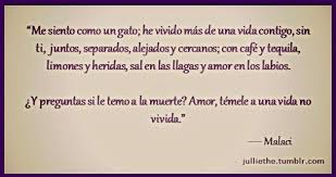 Y Me Preguntas Si Le Tengo Miedo A La Muerte Amor Tenle Miedo A Una Vida No Vivida Malaci Frases Sabias Frases Bonitas
