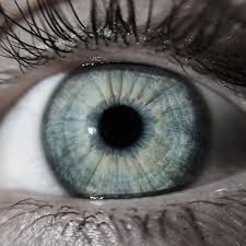 Kak Vyglyadyat Lyudi Gozler Gri