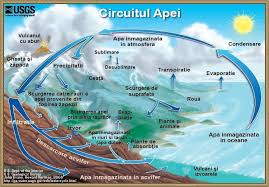 Lichidă (ape curgătoare, lacuri, mări,oceane) solidă (gheaţă , zăpadă, grindină ) gazoasă (nori 1 Care Sunt Cele Trei StÄri De Agregare Ale Apei In Natura 2 ExplicÄ Circuitul Apei In NaturÄ Brainly Ro