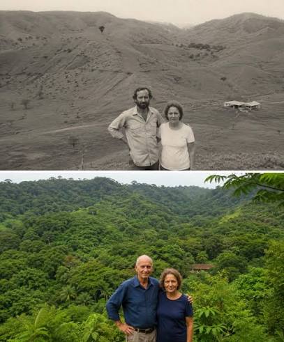 En 1973, en Brasil, el agricultor Antonio Vicente comenzó a sembrar árboles pacientemente uno por uno en Serra da Mantiqueira, estado de São Paulo, dedicando más de 50 años a transformar un
