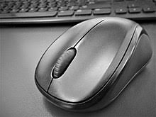 Or any small animal belonging to the family muridae; Computer Mouse Wikipedia
