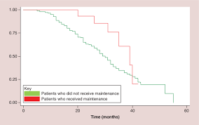 Kaplan Meier Chart Showing The Time To Progression From