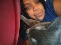 Baby Blue just relaxing in his favorite spot 💙