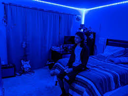 Modern lamps for living room; Daybetter Led Lights App Remote Control Day Better Lights Strips Flexible Kit Waterproof Daybetter Led Strip Lights Instructions Manual Installation Daybetter Led Strip Lights Light Up Your Life
