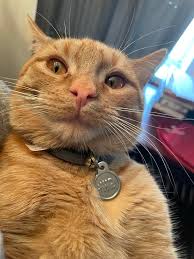 Well im going back to school!! If im gonna own a business might as well  learn how to run one🤓