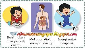 Feb 14, 2021 · jika di artikel kami ini kunci jawaban tema 6 kelas 3 halaman 67, 68, 70, 71 ada jawaban yang salah kami harap peserta didik melaporkan kepada kami agar kami dapat memperbaiki hal tersebut, dan agar kami dapt meperbaiki hal tersebut. Kunci Jawaban Soal Tematik Tema 6 Kelas 3 Halaman 55 67 74 84 90 97 Administrasi Ngajar
