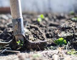 Brown Thumb Be Gone The Only Gardening Tools List You Ll Ever Need