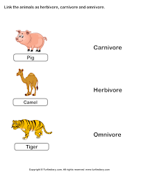 Identify Animals As Herbivore Carnivore Or Omnivore Carnivores Herbivores Omnivores Herbivore And Carnivore Omnivore