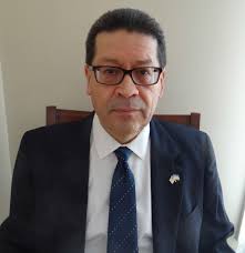 Bottom-up analysis of emergent properties of N-acetylcysteine as an  adjuvant therapy for COVID-19