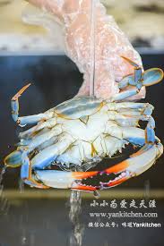 Take a look at this easy way to clean and cook blue crabs! Steamed Blue Crabs Yankitchen