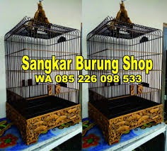 Tas ransel sangkar tas gendongan sangkar burung murai kacer lovebird. Ukuran Sangkar Kacer Yang Baik Masnurul
