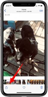 However, it requires the use of an external api that specifically says it will thank you. How To Set A Live Photo As The Wallpaper Background On Your Iphone