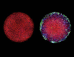 What is matter in physics. Laboratory Of Theoretical Condensed Matter Physics Seek