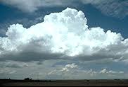 We did not find results for: Cumulus Clouds