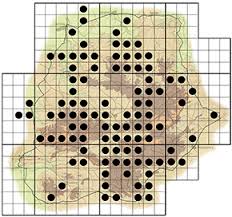 Image result for Pseudolachnostylis maprouneifolia