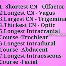 Pin By Hannah Williams On Med School Cranial Nerves Facial Med School