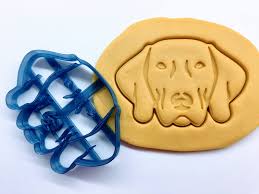 Image result for výmarský krátkosrstý ohař