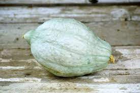 White scallop squash is a very ancient native american heirloom squash, grown by the northern indians for hundreds of years. 20 Types Of Squash And Squash Varieties With Pictures Hgtv