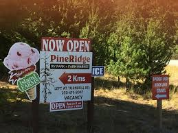 Nestled in des moines, iowa, is the robust, pine ridge farms (prf) processing facility. Pineridge Farm Near Spider Lake Qualicum Beach Bc Fresh Produce Great Local Meat Selection Picture Of Pineridge Rv Park And Farm Market Vancouver Island Tripadvisor