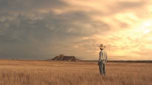 The film stars brady jandreau, lilly jandreau, tim jandreau, lane scott, and cat clifford and was shot in the badlands of south dakota. Short Takes The Rider