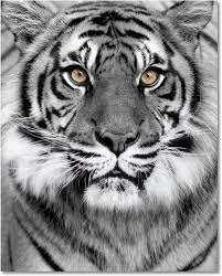 Tiger On Glass Wall Art Glass Wall Art Tiger Art Red Wall Art