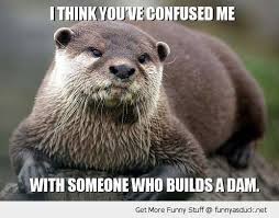 Beaver Otter Memes The Daily Blog Animal Puns Animal Captions Otters