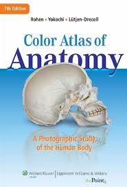 Color Atlas Of Anatomy 7th Edition Pdf Atlas Anatomy Anatomy Human Body