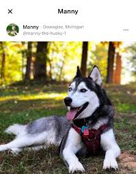 Animal Aid of Southwestern Michigan