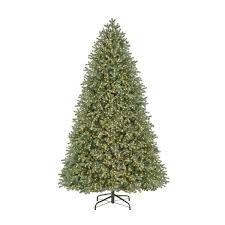 This season, the most popular will be a. Home Decorators Collection 7 5 Ft Cavalier Frasier Fir Led Pre Lit Artificial Christmas Tree With 5000 Color Changing Lights And 8 Functions Brickseek