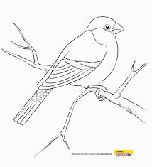 Jak w przypadku każdej bajki, książki, opowiadania każdy wyciągnie morał. Gil Kolorowanki Ptasie Kolorowanki Ptaki Malowanki Dla Dzieci Do Drukowania Bird Drawings Bird Embroidery Pattern Animal Print Quilt